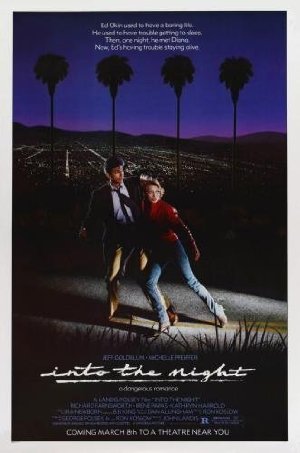 Into the Night poster